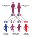 The mechanism of recessive genetic disease