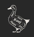 Diagram guide for cutting duck meat drawn on the blackboard. Menu for restaurant or butcher shop. Vector