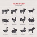 Diagram Guide for Cutting Meat in Vintage Style. Vintage restaurant meat menu template