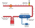 Diagram of kidney dialysis machine Royalty Free Stock Photo