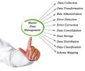 Diagram of Master Data Management Royalty Free Stock Photo