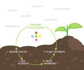 Diagram of Nutrients in Organic Fertilizers Royalty Free Stock Photo