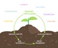 Diagram of Nutrients in Organic Fertilizers Royalty Free Stock Photo