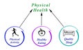 Diagram of Physical health