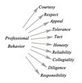 Diagram of Professional Behavior