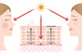 Diagram of regular skin cell turnover and slow skin cell turnover