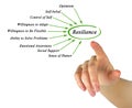 Diagram of Resilience