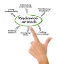 Diagram of Resilience at Work