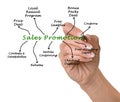 Diagram of Sales Promotion