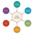 Diagram of Sales Strategy - vector