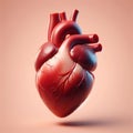 Realistic Human Heart 3D Render Anatomy Diagram with Vector Illustration of Organ Royalty Free Stock Photo