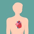 Diagram of a single heart in the body in science subject kawaii doodle vector