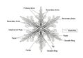 And symmetrical nature of snowflakes, typically formed by hexagonal Royalty Free Stock Photo