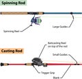 Diagram of spinning rod and baitcasting rod vector illustration