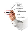 Diagram of stress consequences Royalty Free Stock Photo