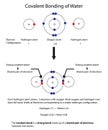 Diagram to illustrate covalent bonding in water with a fully lab Royalty Free Stock Photo