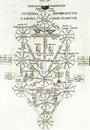 alchemical illustration of the ten sephiroth of the tree of life by athanasiusi kircher