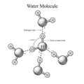 Diagram of Water Molecule Bonds engraving vector Royalty Free Stock Photo