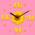 Dial with arrows of sunflowers on a pink background Royalty Free Stock Photo