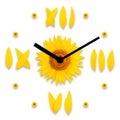 Dial with arrows of sunflowers on a white background Royalty Free Stock Photo