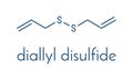 Diallyl disulfide garlic molecule. One of the compounds responsible for taste, smell and health effects of garlic. Skeletal. Royalty Free Stock Photo