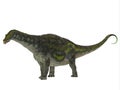 Diamantinasaurus Dinosaur Side Profile Royalty Free Stock Photo