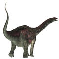 Diamantinasaurus Dinosaur Tail Royalty Free Stock Photo