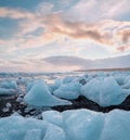 Diamond Beach in Iceland with blue icebergs melting on the black sand and ice glistening with sunrise sun light, tourist looking Royalty Free Stock Photo