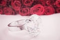 Diamond big ring and red roses in the background Royalty Free Stock Photo