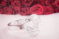 Diamond big ring and red roses in the background