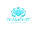 Diamond, brilliant, gemstone and jewelry, logo design. Fashion, beauty, style and accessories, vector design