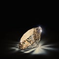 Diamond classic cut Royalty Free Stock Photo