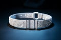 Diamond Crusted Dog Collar, dog care routine, luxury dog life