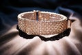 Diamond Crusted Dog Collar, dog care routine, luxury dog life