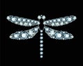 Diamond Dragonfly