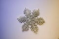 Diamond dust snowflake