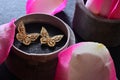 Diamond butterfly earring jewellery Pink Rose flower Royalty Free Stock Photo