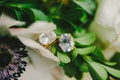 Diamond Earrings Royalty Free Stock Photo