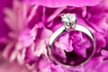 Diamond Engagement Rign Royalty Free Stock Photo