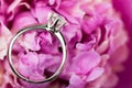 Diamond Engagement Rign Royalty Free Stock Photo