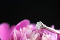 Diamond Engagement Rign Royalty Free Stock Photo