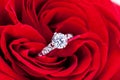 Diamond engagement ring in the heart of a red rose Royalty Free Stock Photo