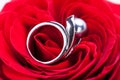 Diamond engagement ring in the heart of a red rose Royalty Free Stock Photo