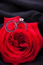 Diamond engagement ring in the heart of a red rose Royalty Free Stock Photo