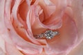 Diamond Engagement Ring in Pink Rose Royalty Free Stock Photo