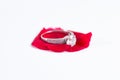 Diamond engagement wedding ring on red rose petal isolated on white Royalty Free Stock Photo