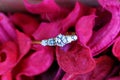 Diamond enggagement ring Royalty Free Stock Photo