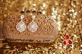 Diamond fashion earrings on golden purse with strass and gems. s