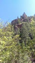 Diamond Fork Canyon - Forest