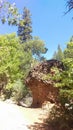 Diamond Fork Canyon Mushroom Rock